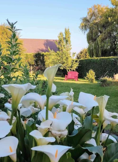 Le Jardin Des Lacs Gite Nature Et Spa Ardres Exteriör bild